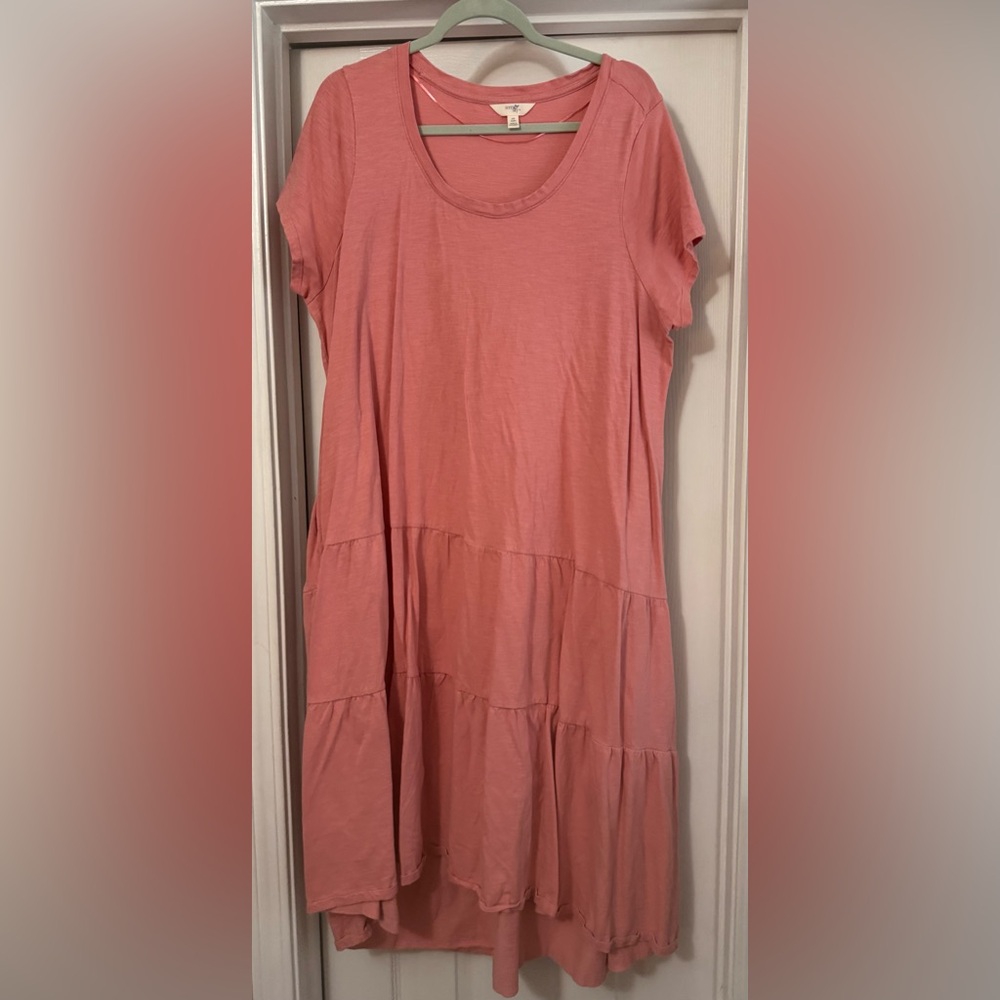 Terra & Sky Pink Maxi Dress